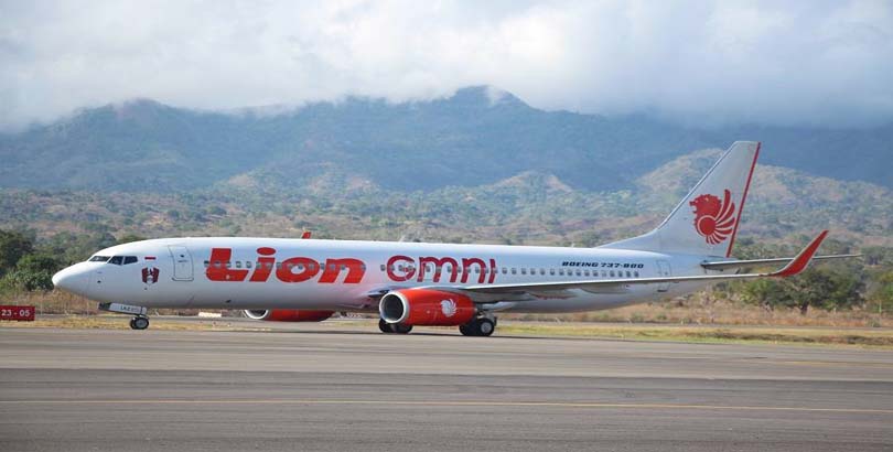 lion gmni